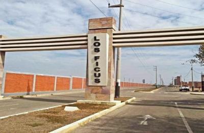 VENTA DE TERRENO DE 120 M2 EN URB. LOS FICUS - PIMENTEL